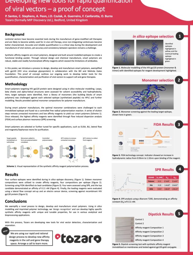 Developing new tools for rapid quantification of viral vectors – a proof of concept